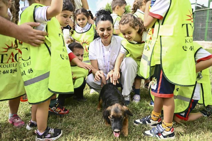 Muratpaşa’da 2026’da 287 can yeni yuvasına kavuştu
